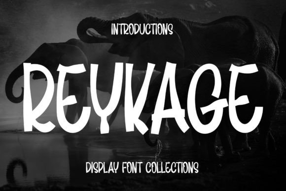 Reykage: A Designer’s Take on This Display Font